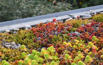 the cost of Woodcock Hill green roof installation