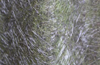 Woodcock Hill fibreglass roof work